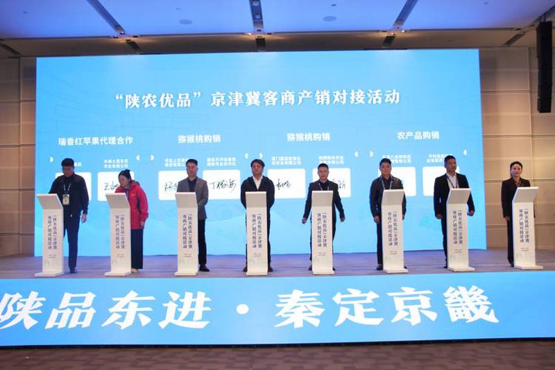 山西贸易风华正茂:市场动态与趋势